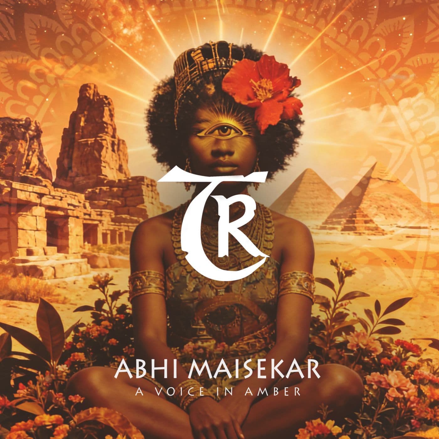 Abhi_Maisekar-A_Voice_in_Amber-_TR724_-SINGLE-WEB-2026-PTC