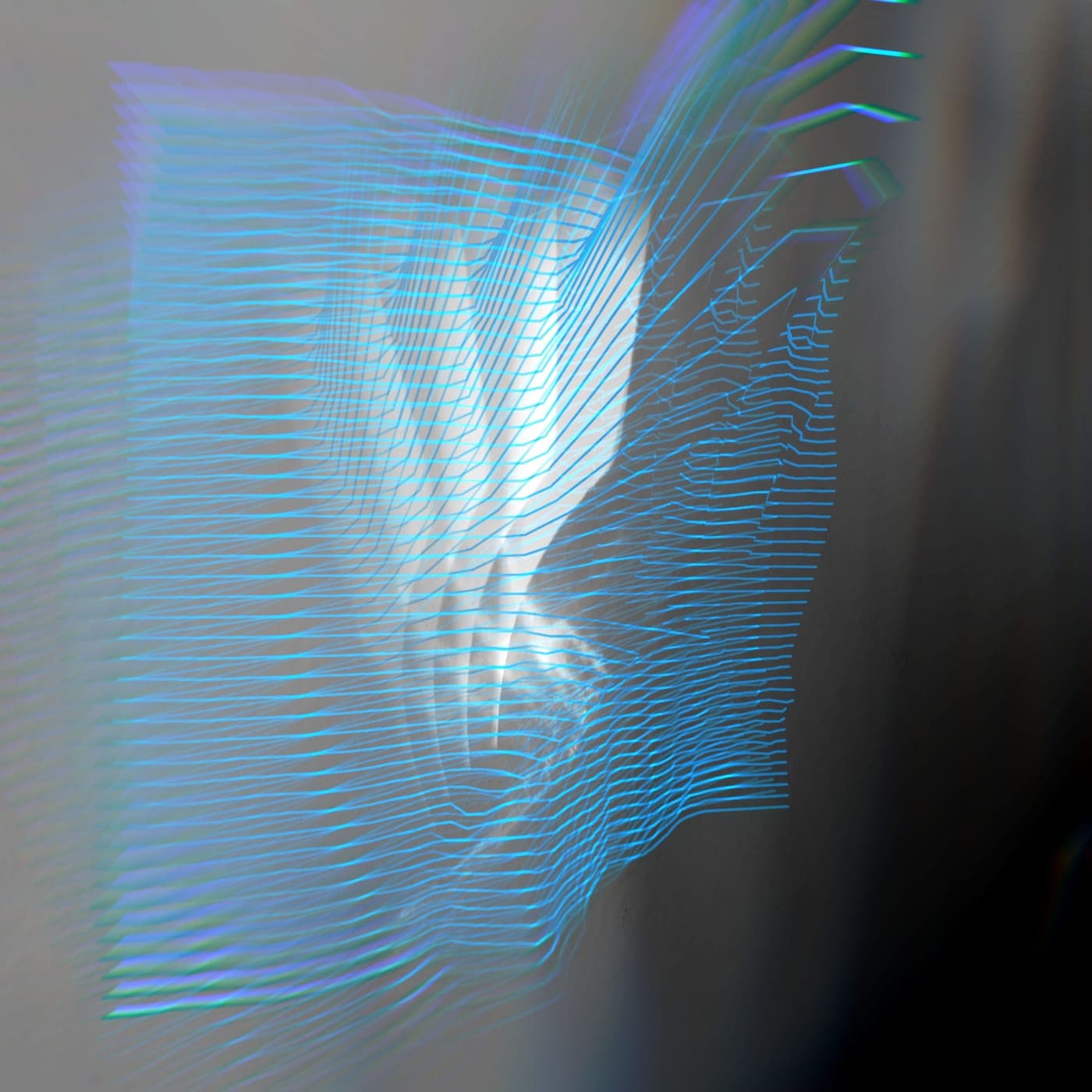 Raveneef-Bitrot_EP-_KV026_-WEB-2026-PTC