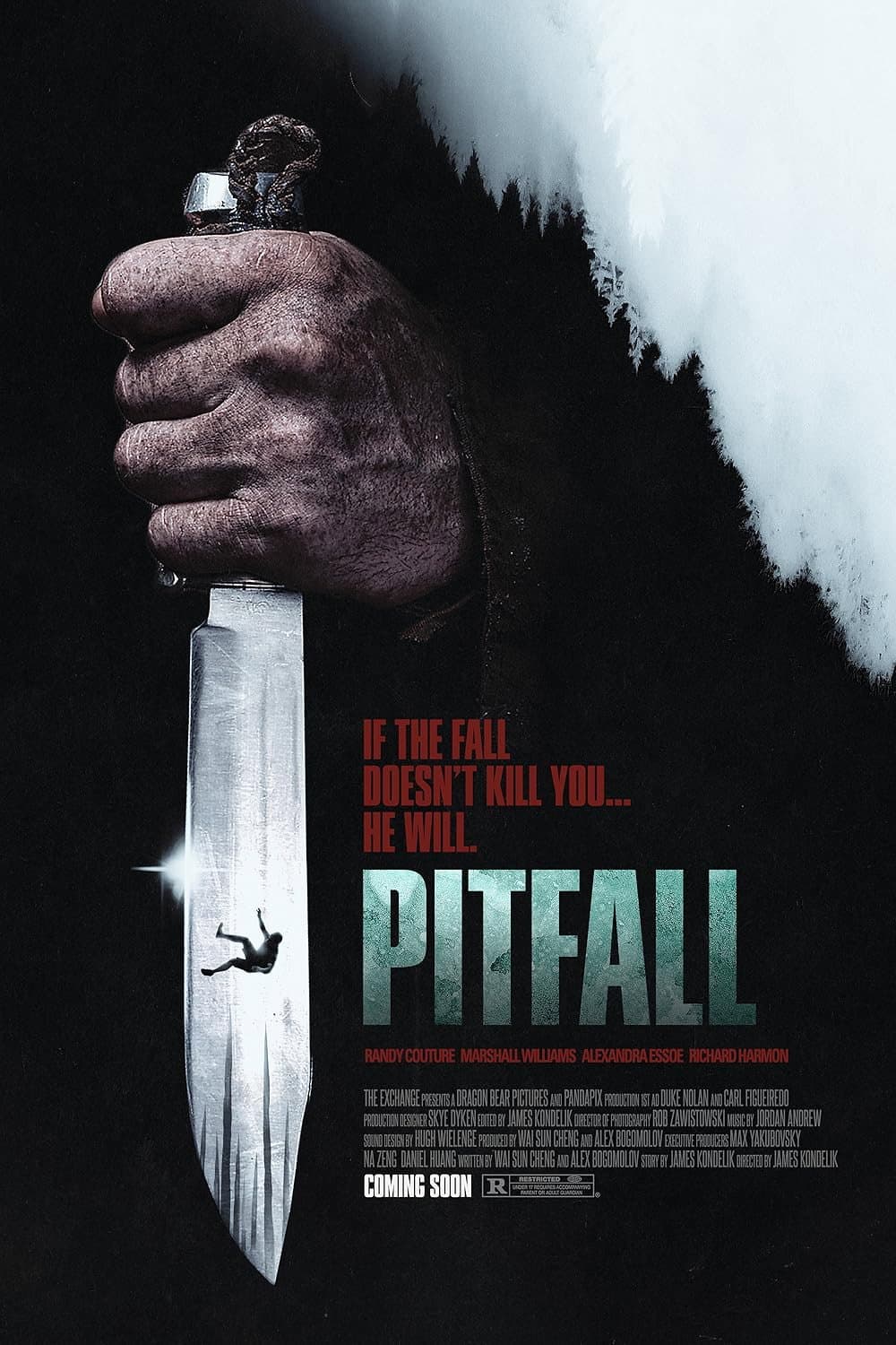 pitfall 2026 web h264-rbb