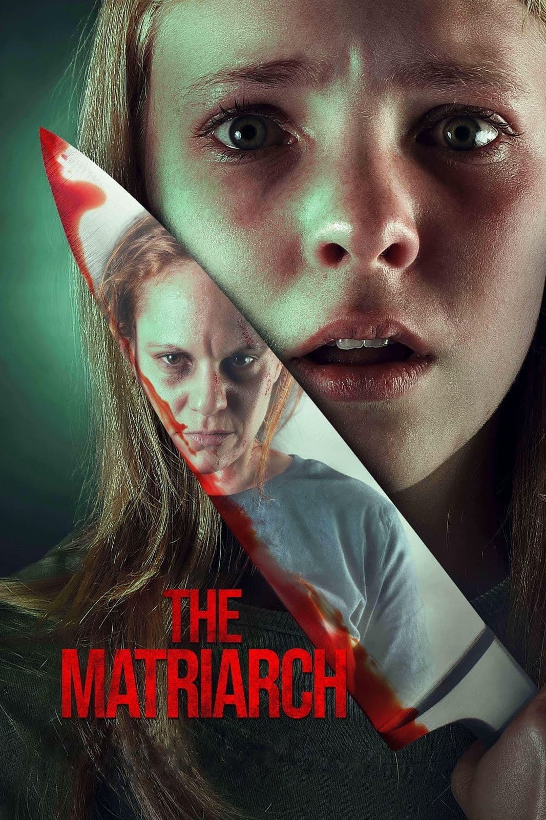The Matriarch 2024 NORDIC 1080p WEBRip 5 1-YTSGGYTSBZ