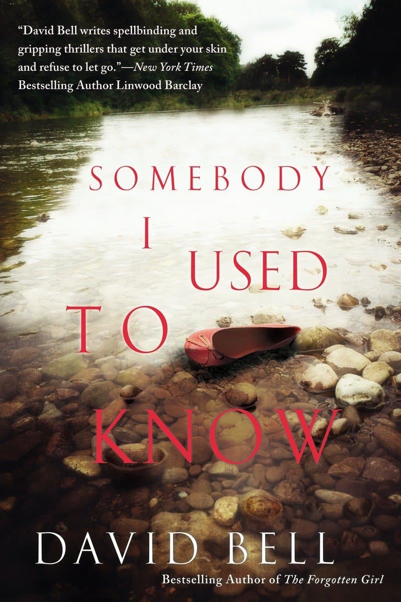 David.Bell.Somebody.I.Used.to.Know.2015.RETAiL.EPUB.eBook-NODE