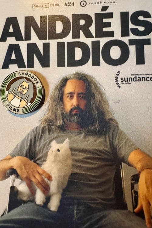 Andre Is An Idiot 2025 NORDIC 1080p WEBRip-YTSGGYTSBZ